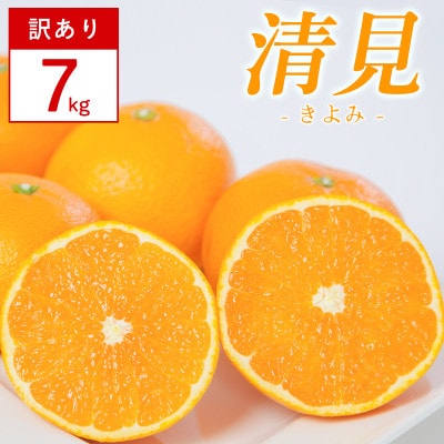 【訳あり】清見 7kg 愛媛県 八幡浜市 西宇和地区 柔らかい果肉【H25-379】【配送不可地域：離島】【1716928】