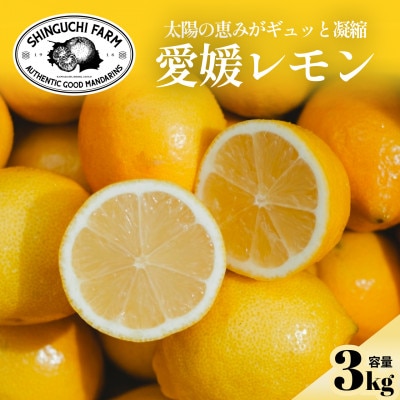 【皮まで食べられる】愛媛育ちのレモン 3kg 防腐剤・ワックス不使用【C70-20】【1470687】