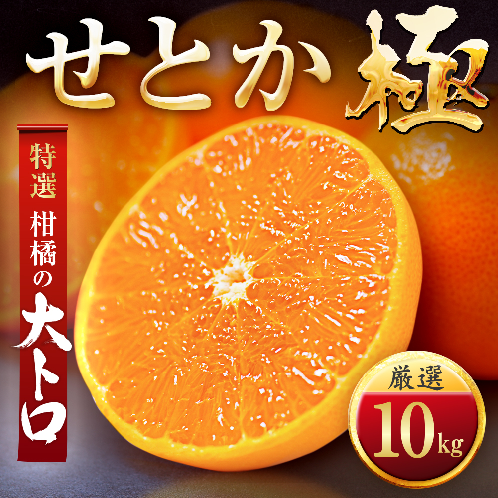 【先行受付】「夕やけブランド」柑橘の大トロ!【せとか】10kg【H49-68】【1509771】 YWTZ060