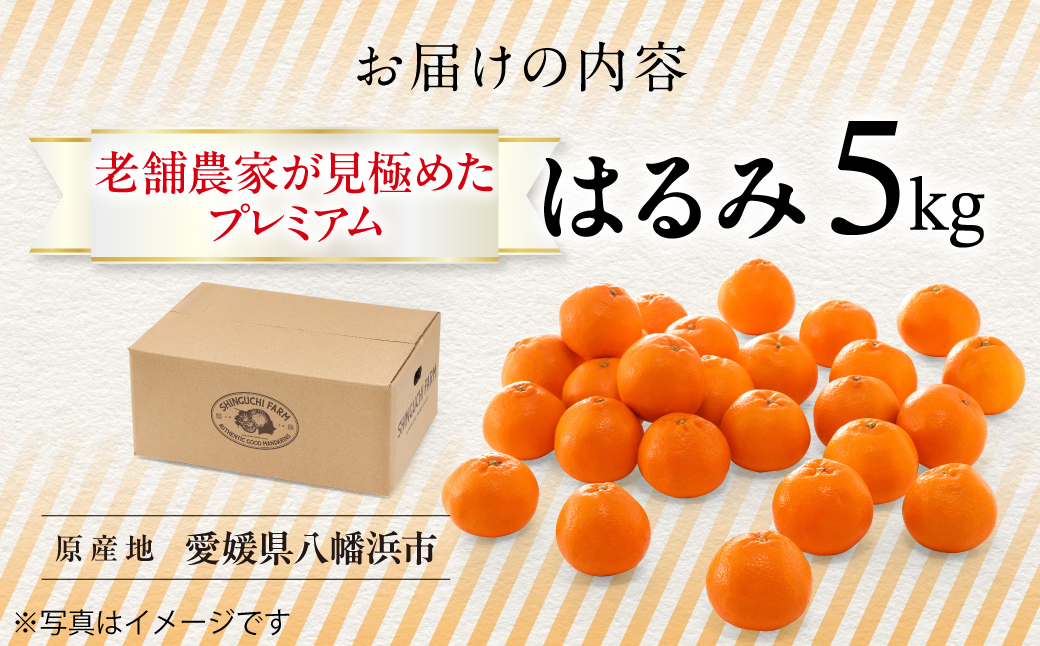 老舗農家が見極めたプレミアム【はるみ5kg】【希少・プチプチ食感】【D70-131】【1684364】 YWTK130