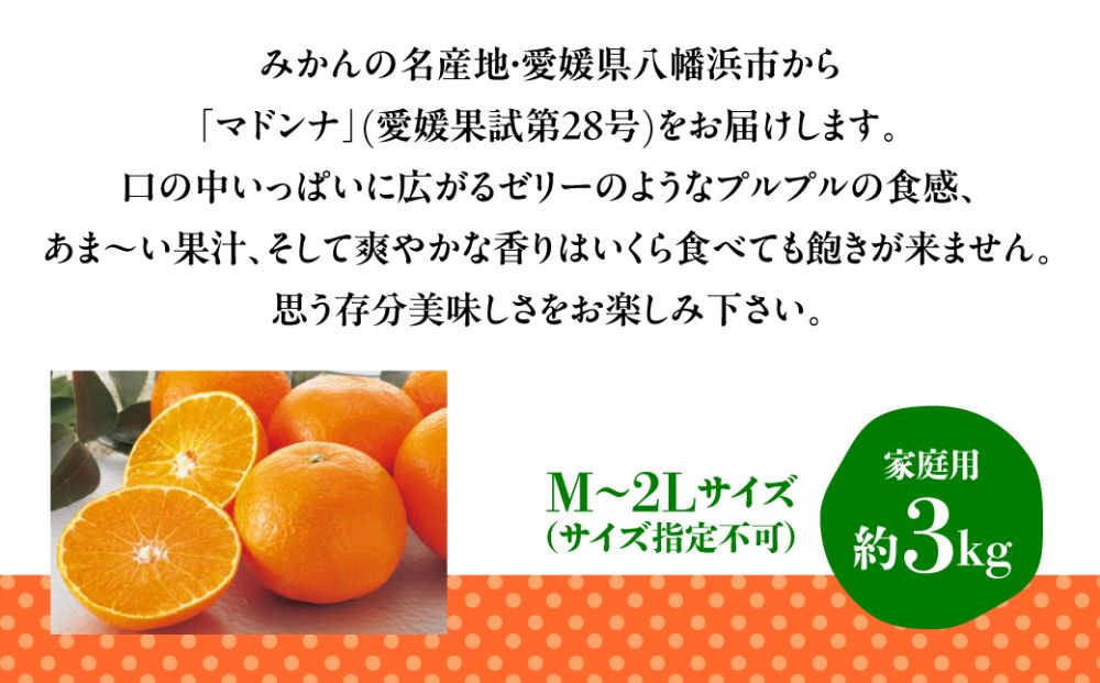 マドンナ(愛媛果試第28号)【家庭用】約3kg【C76-7】【1506315】 YWTAB005