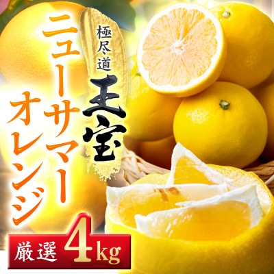 【愛媛名産】玉宝ニューサマーオレンジ　4kg【C64-37】【1510858】