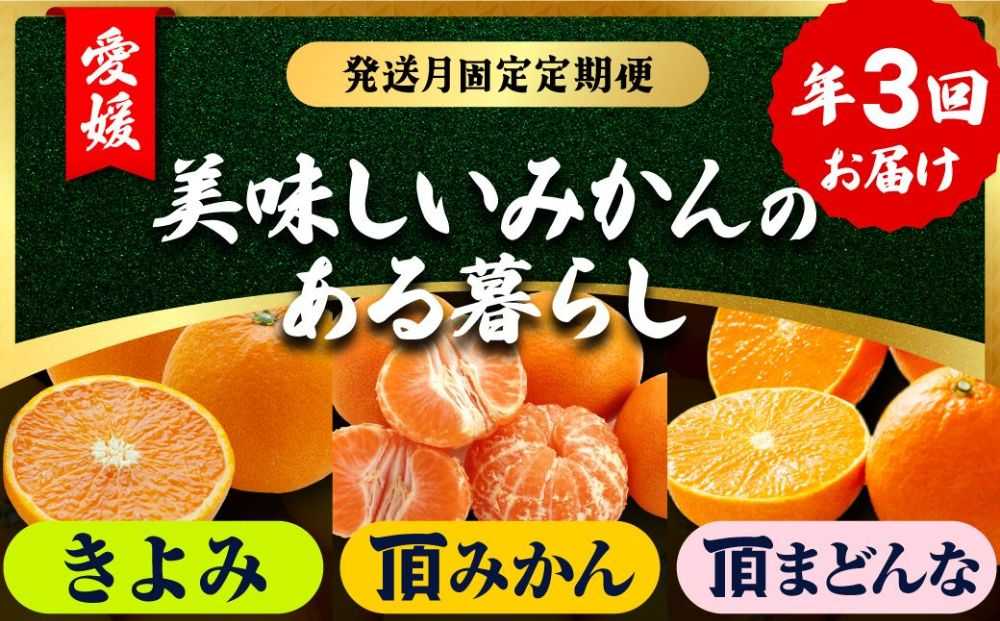 【発送月固定定期便】美味しいみかん柑橘のある暮らし【みかん・まどんな・きよみ】【G31-42】全3回【4058603】 YWTAC031