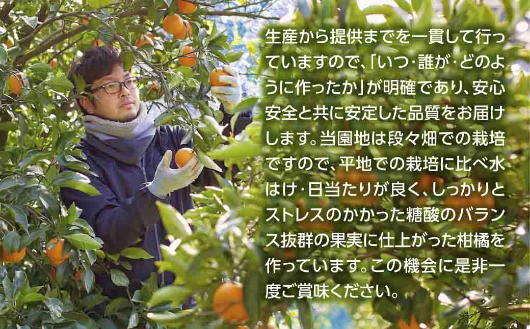 じゅらす農房の温州みかんジュース3本セット【C32-8】【1294247】 YWTH007