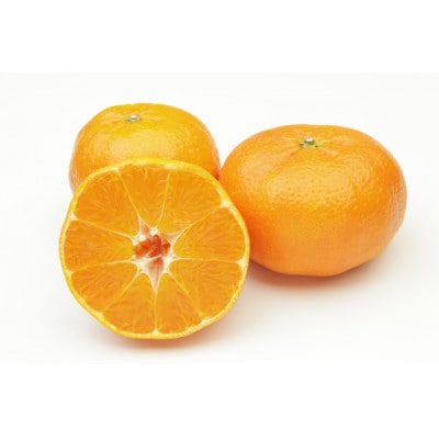 柑橘の鬼たちがつくる八幡浜産・甘平(2.7kg〜3.0kg)[贈答用]【E56-22】【1270403】