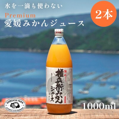 【水を一滴も使わない】愛媛みかん100%ストレートジュース 1000ml×2本【C70-84】【1625559】
