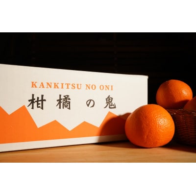 八幡浜産・ネーブル10kg【訳あり】【D56-44】【配送不可地域：離島】【1479309】