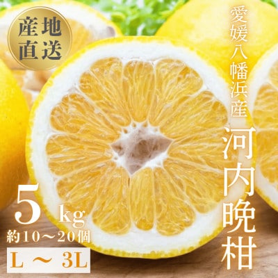 《果汁たっぷりジューシー》産地直送 愛媛八幡浜産 河内晩柑5kg【D20-89】【1625428】