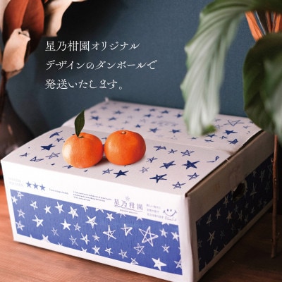 【三つ星ブランド】星乃みかん(5.5kg)【C45-99】【1652556】