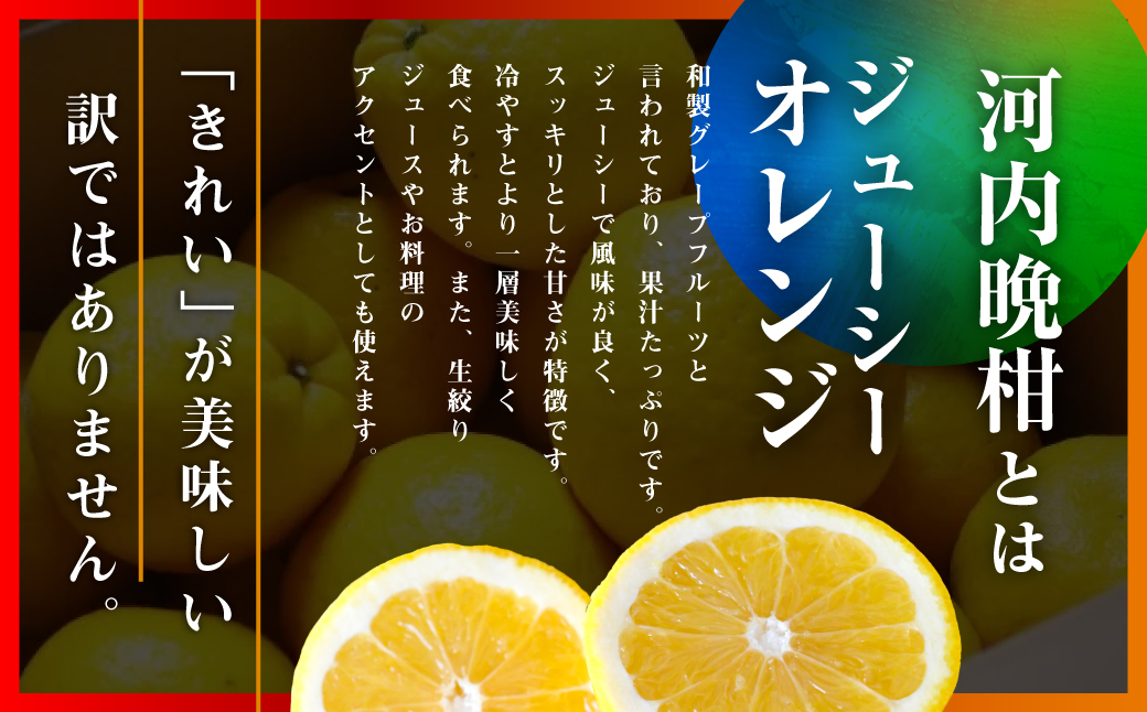 河内晩柑5kg【訳あり】【A31-50】【配送不可地域：離島】【1613967】 YWTAC039