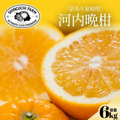 【太陽の恵みをギュッと凝縮】河内晩柑 訳あり 6kg 愛媛県産【C70-83】【1625557】