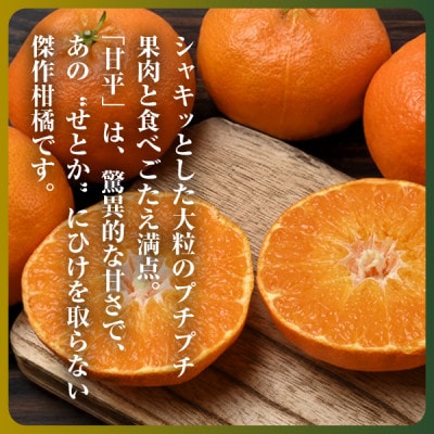 【愛媛限定】驚きの甘さ!幻の柑橘《甘平》2kg(M〜3L玉混合)【D31-55】【1660047】