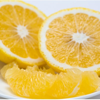 【太陽をたっぷり浴びた】はるか【極】4kg【C49-48】【1509745】