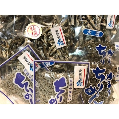 イリ子の詰め合わせ5種約1キロセット!【D22-251】【配送不可地域：離島】【1073908】