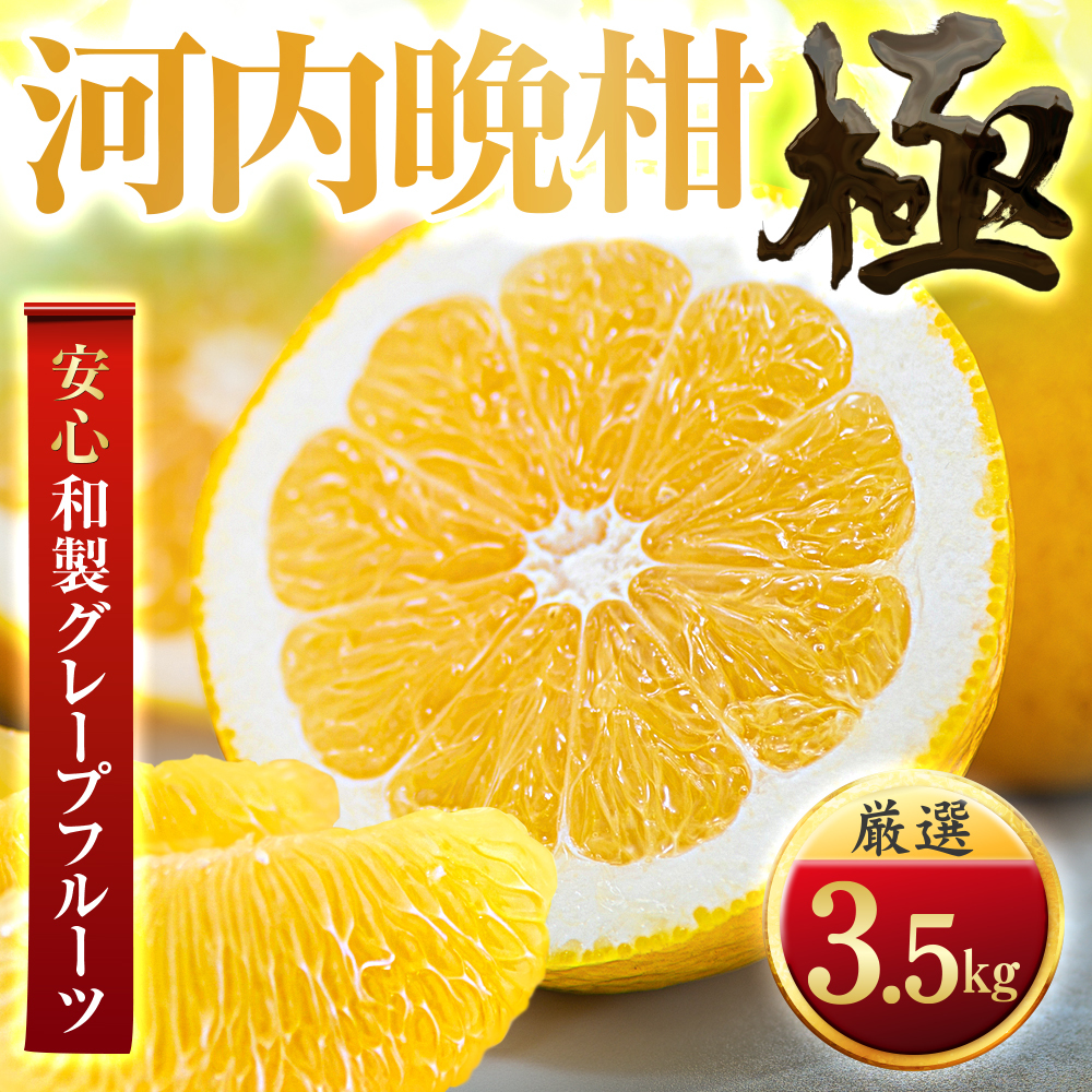 【太陽をたっぷり浴びた】河内晩柑【極】3.5kg【C49-60】【1509763】 YWTZ052