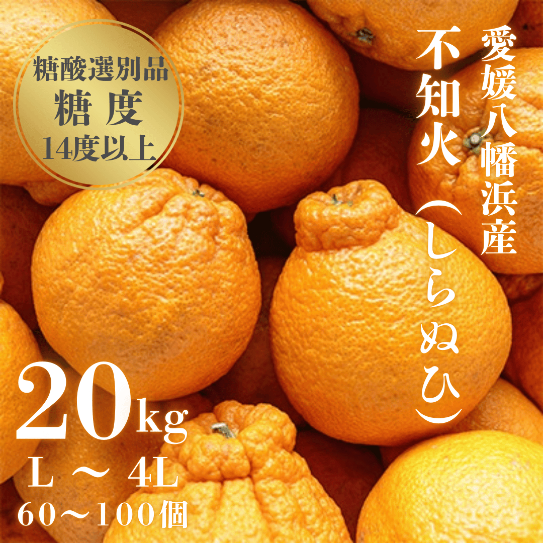 【糖度14.0以上酸1.4以下】糖酸選別品 愛媛産 不知火 (しらぬひ) 20kg【H20-93】【配送不可地域：離島】【1625296】 YWTI088
