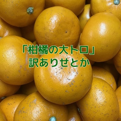 【訳あり】せとか3kg【C21-56】【配送不可地域：離島】【1682791】