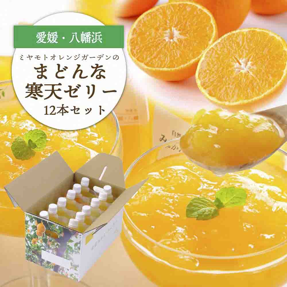 愛媛限定栽培柑橘 まどんな寒天ゼリー12本セット【D25-16】【1255523】 YWTAP009