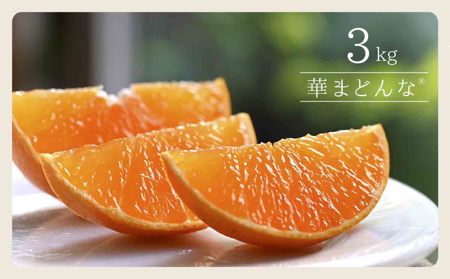 コウ果樹園「華まどんな」3kg【D33-22】【1051536】 YWTG008