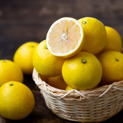 縲先帛ェ帛錐逕」縲醍脂螳昴ル繝・繝シ繧オ繝槭シ繧ェ繝ャ繝ウ繧ク縲10kg縲食64-39縲代1510857縲