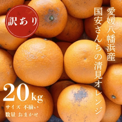 【まるで食べるジュース!越冬完熟品】愛媛産 訳あり 清見オレンジ 20kg【H20-35】【1594863】