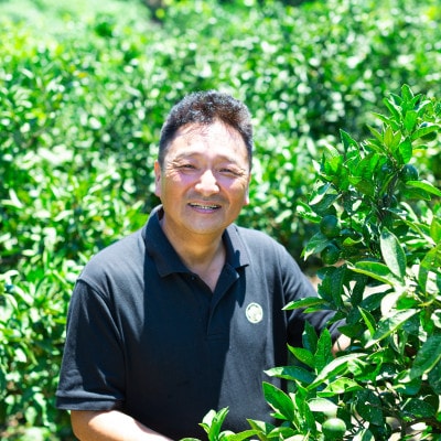 【愛媛名産】玉宝みかん【雫 ・・ 小玉】(3kg×2箱)【D64-4】【1340917】