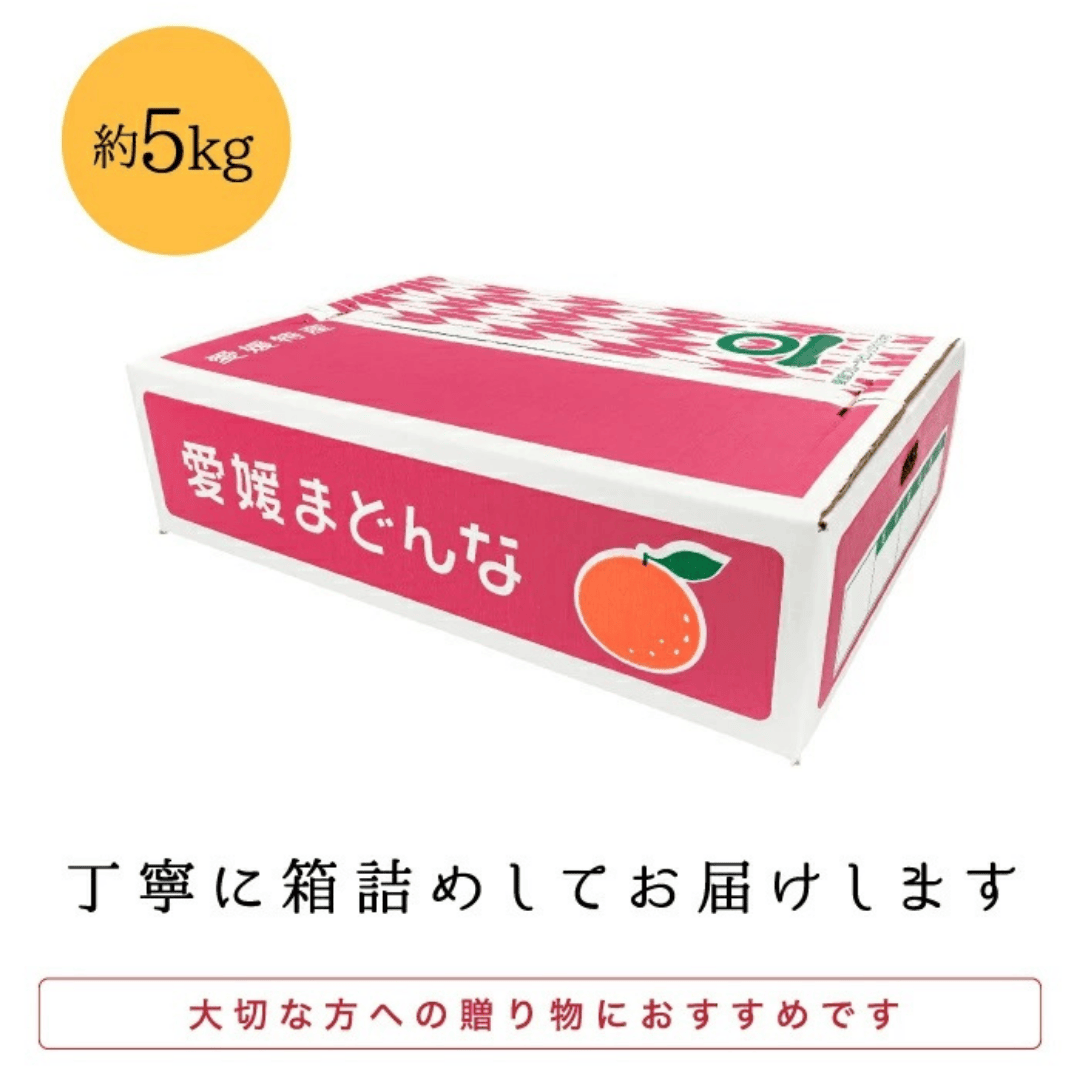逕」蝨ー逶エ騾 蝗ス螳峨&繧薙■縺ョ諢帛ェ帙∪縺ゥ繧薙↑ 雍育ュ皮畑 邏5kg 縲食20-31縲代1340000縲 YWTI026