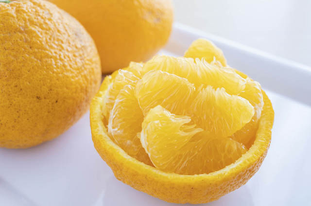 八幡浜産・甘夏8kg【訳あり】【C56-24】【配送不可地域：離島】【1293834】 YWTAS018