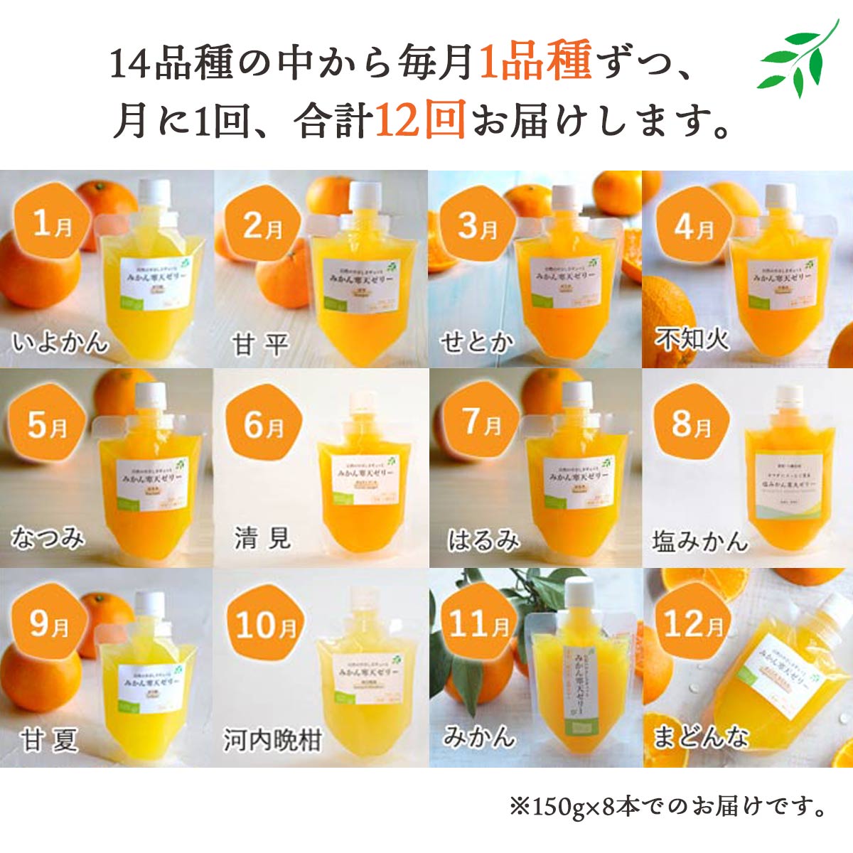 【発送月固定定期便】みかん寒天ゼリー定期便〜毎月1品種8本 全12回【H25-110】【4012159】 YWTAP055