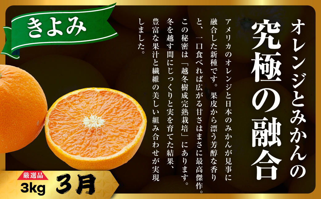 【発送月固定定期便】美味しいみかん柑橘のある暮らし【みかん・まどんな・きよみ】【G31-42】全3回【4058603】 YWTAC031