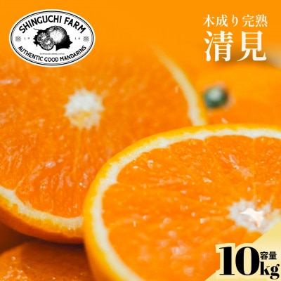 【太陽の恵みをギュッと凝縮】清見 10kg 愛媛県産【G70-15】【1470710】