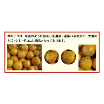 【訳あり】みさき果樹園の不知火10kg【C21-61】【1705416】