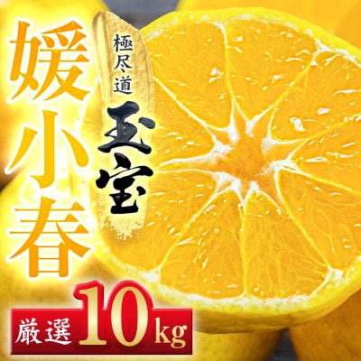 【愛媛名産】玉宝媛小春(ひめこはる)　10kg【H64-88】【1623971】