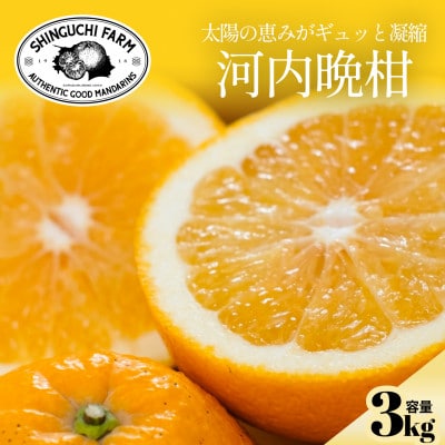 【太陽の恵みをギュッと凝縮】河内晩柑 3kg 愛媛県産【C70-70】【1615822】