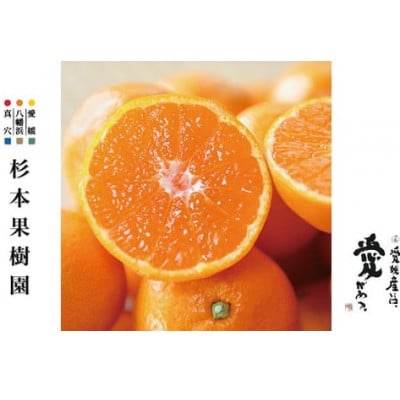 【2025年11月以降順次発送】〈特選〉真穴、八寿みかん(早生温州)5kg【D34-22】【1510693】