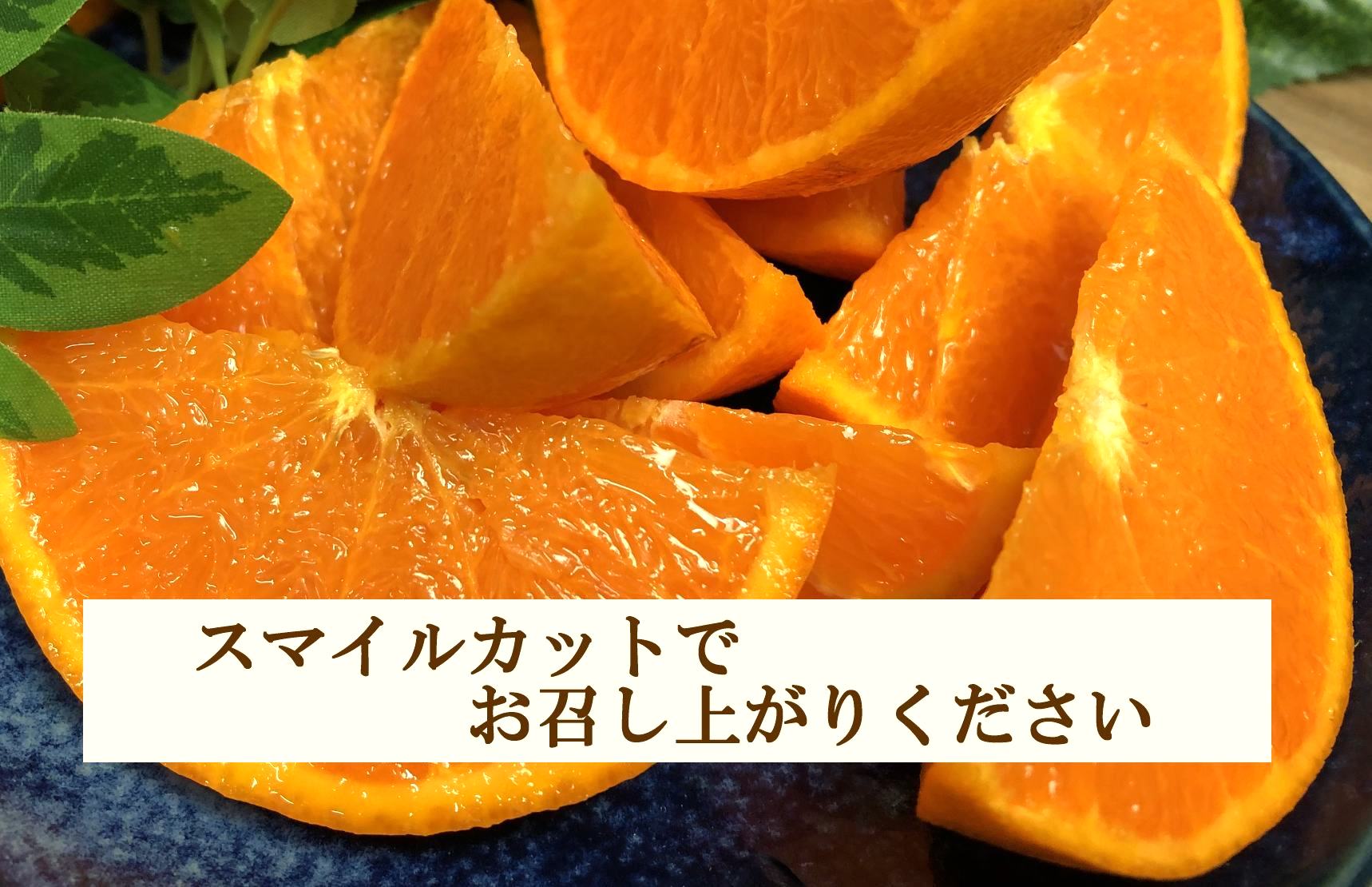 【先行受付】ぷるぷる新食感「マドンナ」約4kg　【D39-31】【1149494】 YWTF013