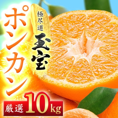 【愛媛名産】玉宝ポンカン　10kg【F64-66】【1621808】