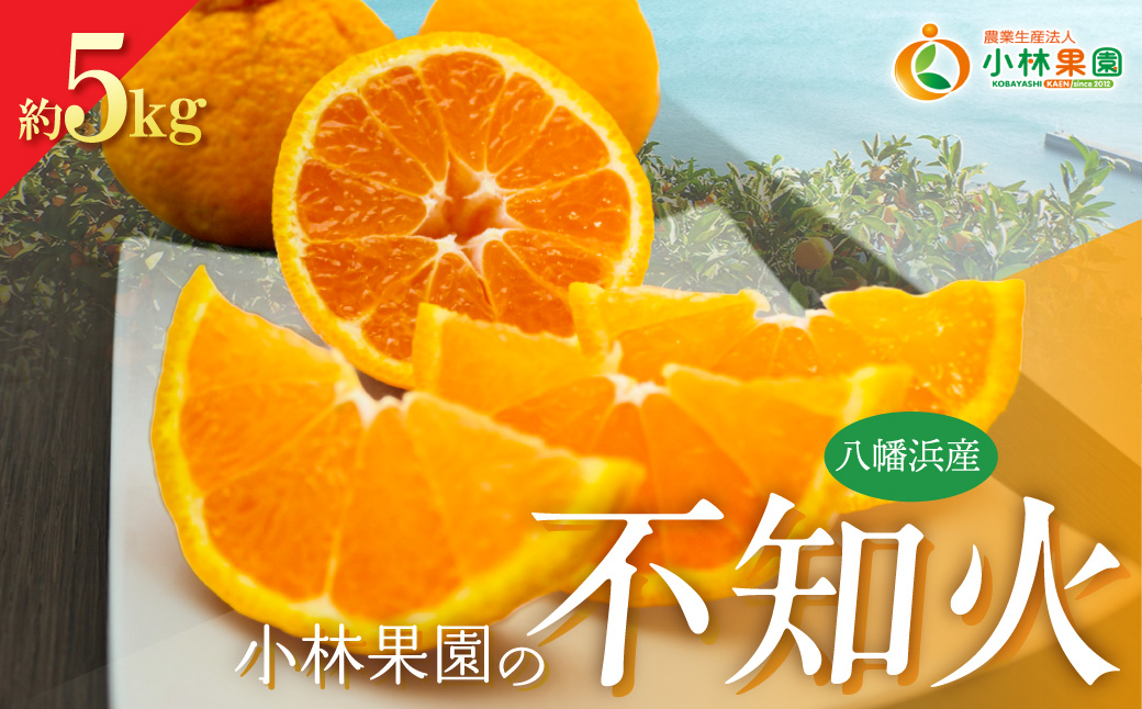 【先行受付】小林果園の不知火(約5kg)【C24-20】 YWTAD013