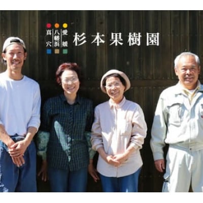 【2025年12月以降順次発送】〈特選〉真穴、杉本果樹園八寿みかん(普通温州)5kg【D34-24】【1510695】