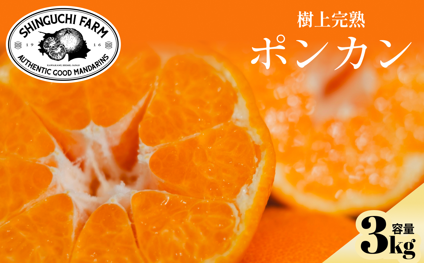 【先行受付】【産地直送】五代目が厳選したポンカン 3kg 愛媛県産【C70-64】【1614988】 YWTK064