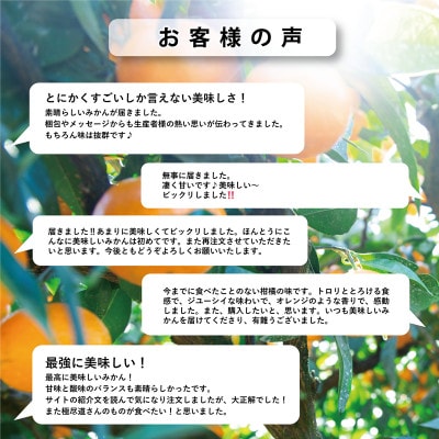 縲先帛ェ帛錐逕」縲醍脂螳昜シ贋コ域汨縲10kg縲色64-60縲代1510839縲