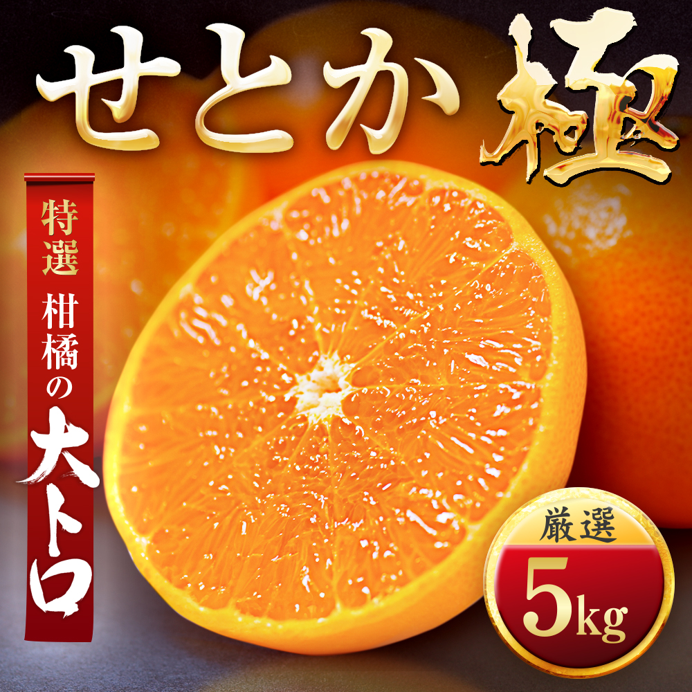 【先行受付】「夕やけブランド」柑橘の大トロ!【せとか】5kg【G49-79】【1621091】 YWTZ064