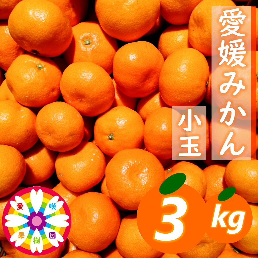 【先行受付】「 愛媛 みかん 」 小玉 約3kg《 愛咲果樹園 》【A71-26】【1616828】 YWTS022