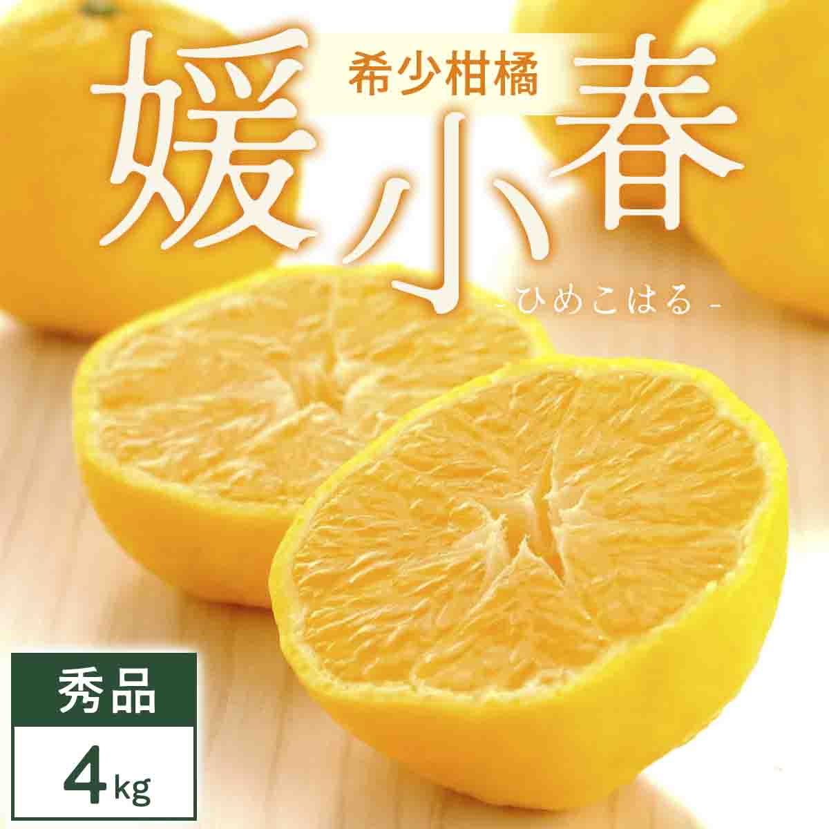 媛小春 4kg 愛媛県 八幡浜市 西宇和地区 希少な幻の柑橘 黄色いみかん【E25-345】【1715608】 YWTAP286
