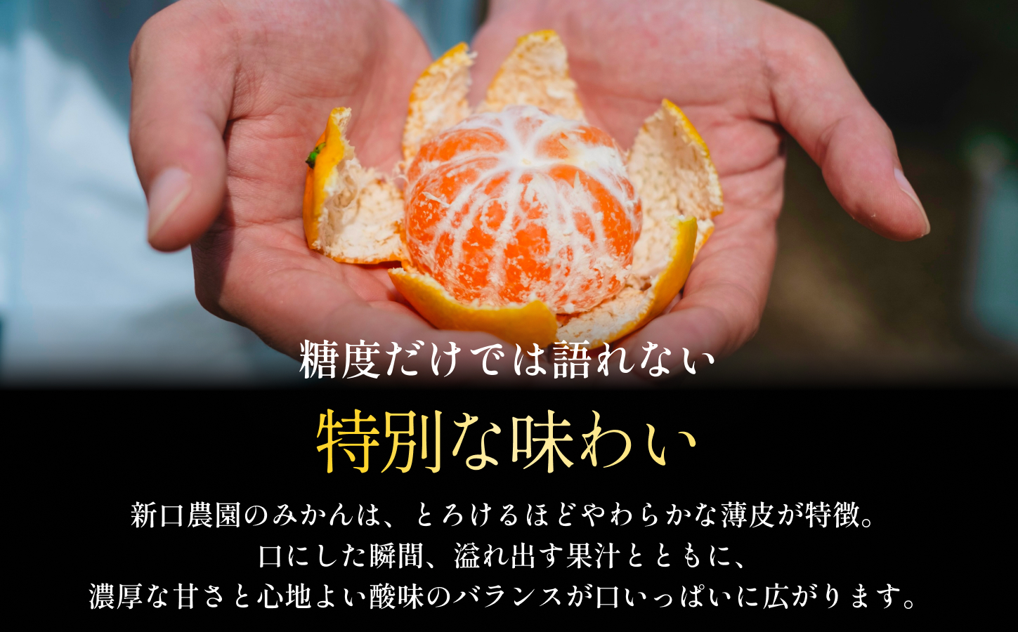 【先行受付】【小玉サイズ限定】五代目が厳選した愛媛みかん 20kg【愛媛県川上産】【H70-105】【1677122】 YWTK104