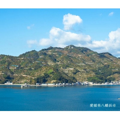 ãç³åºŠ11åºŠä»¥äž é
ž1.0ä»¥äž ç³é
žéžå¥åãæåªã¿ãã 3kgãC20-48ãã1594922ã