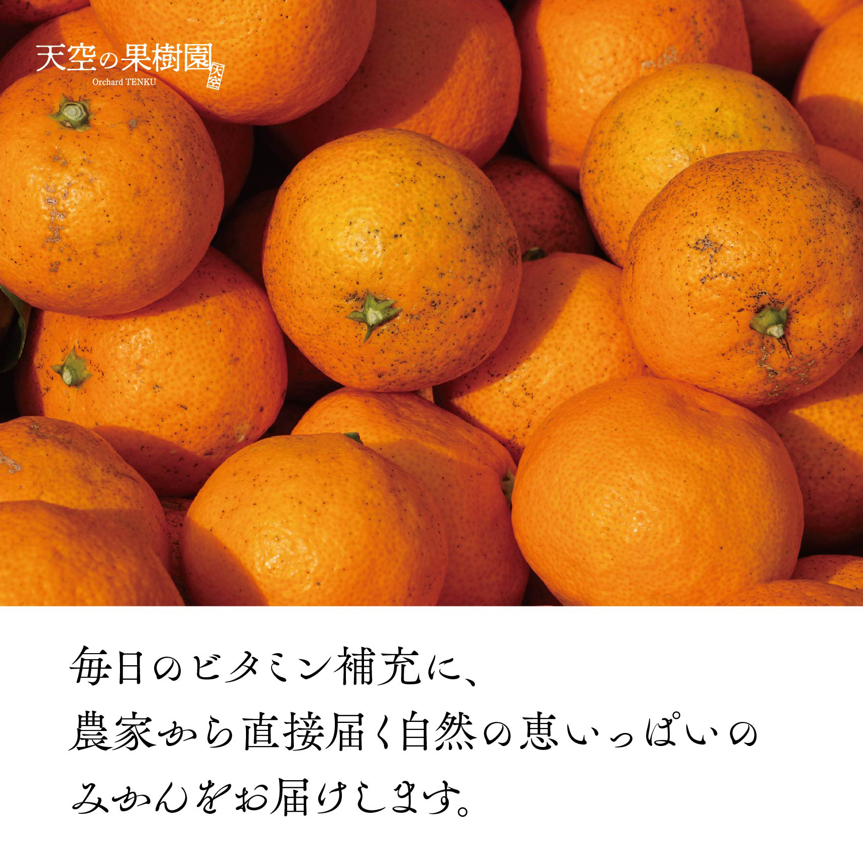 【先行受付】天空の果樹園から届くそらみかん (3kg)【A95-7】【1668512】 YWTAQ007