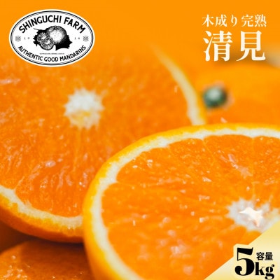 【太陽の恵みをギュッと凝縮】清見 5kg 愛媛県産【D70-14】【1470711】