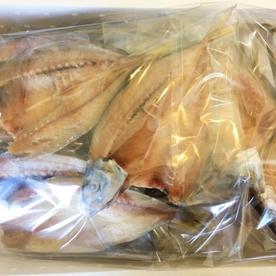 ç«¹äžæ°Žç£ã®ãå ã®å€©æ¥å¹²ã(å®åæµ·ç£å€©ç¶ã¢ãž)ã10ã15å¹(1.5ããä¿èšŒ)ãD22-216ããé
éäžå¯å°åïŒé¢å³¶ãã1043160ã