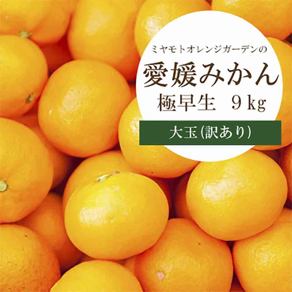 シーズン一番採り 極早生みかん 大玉9kg【訳あり】【C25-74】【1148854】 YWTAP041